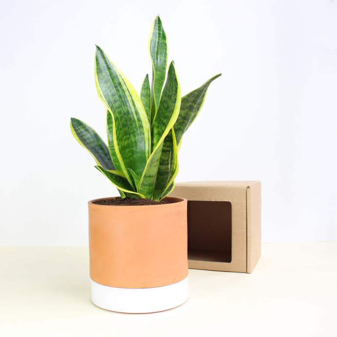  JEANNOT SELF WATERING PLANT  POT  size L   STUDIO HELDER